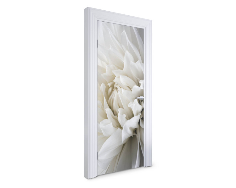 Naklejka na drzwi Biała dalia 75x205 cm Fototapeta