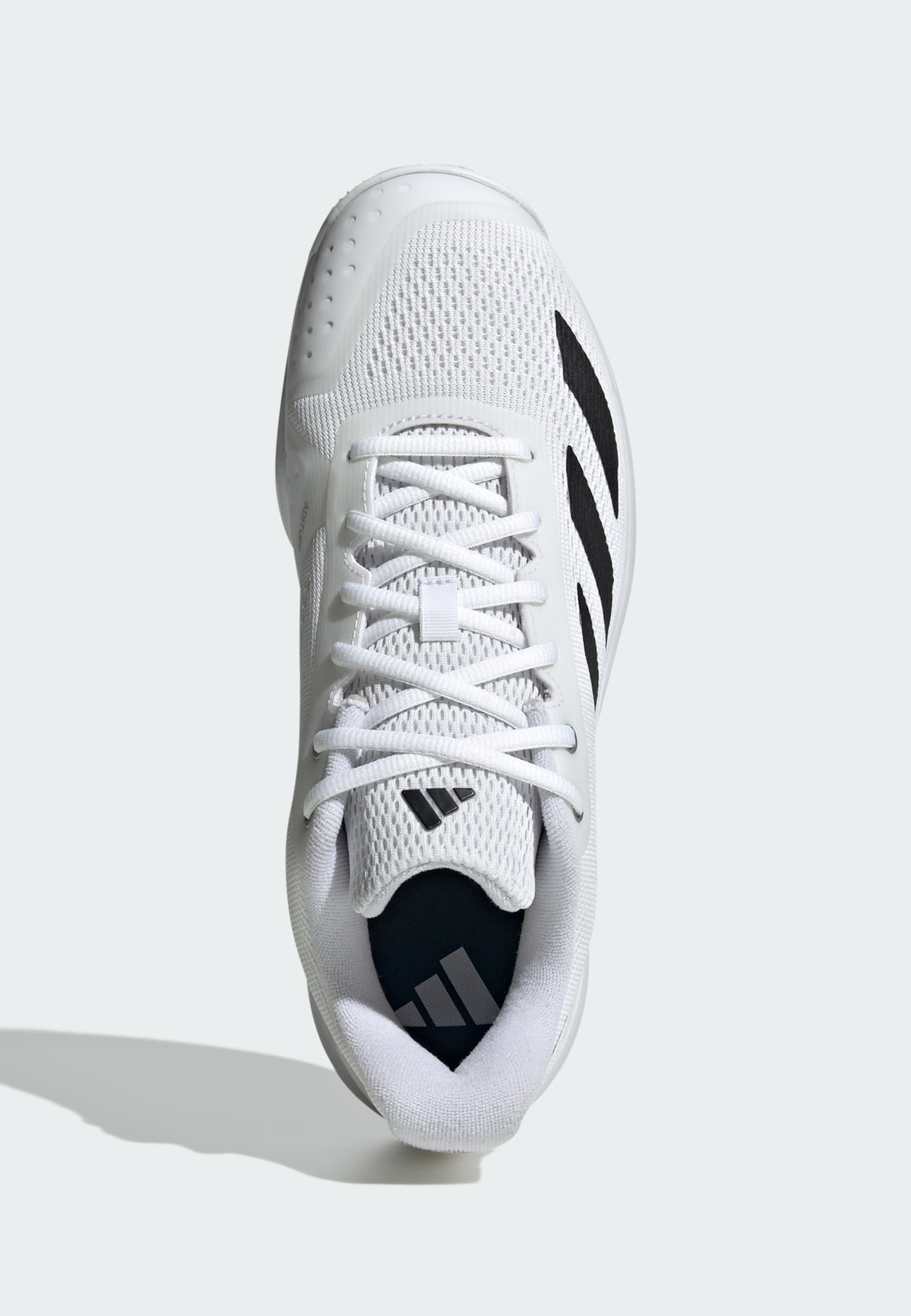 adidas Performance COURTFLASH SPEED 2 - Tenisové topánky na viacero povrchov - ftwr white/ftwr white/core black