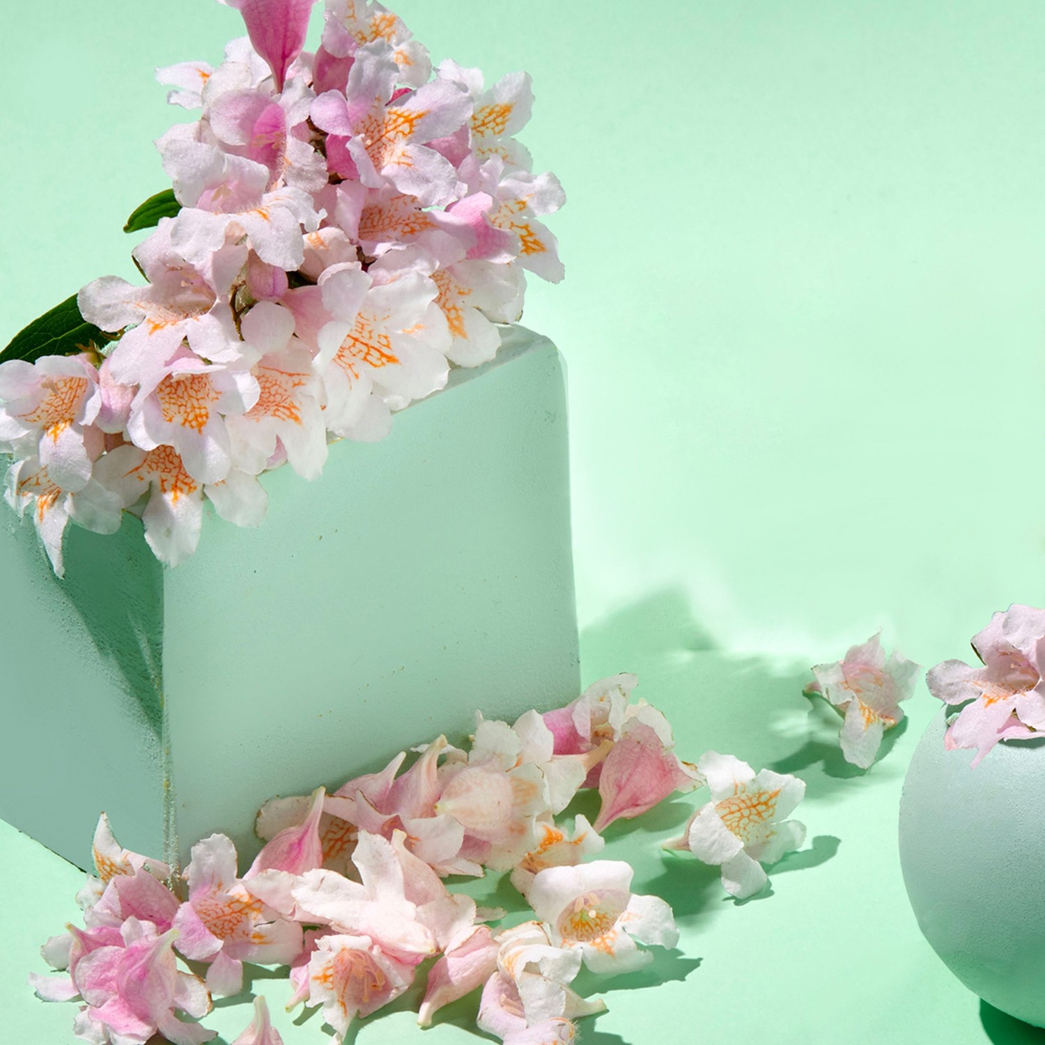 Jowaè Masque d'Eau Repulpant à l'Eau de Fleurs de Sakura