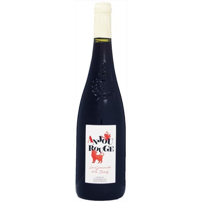 Domaine de Terrebrune Anjou - Vino Tinto Valle del Loira 2024