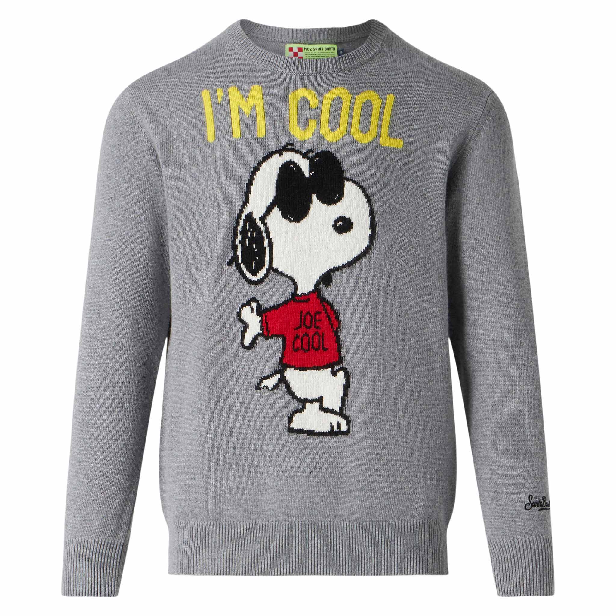 Maglione da uomo con Rock Snoopy grigio | SNOOPY - EDIZIONE SPECIALE P