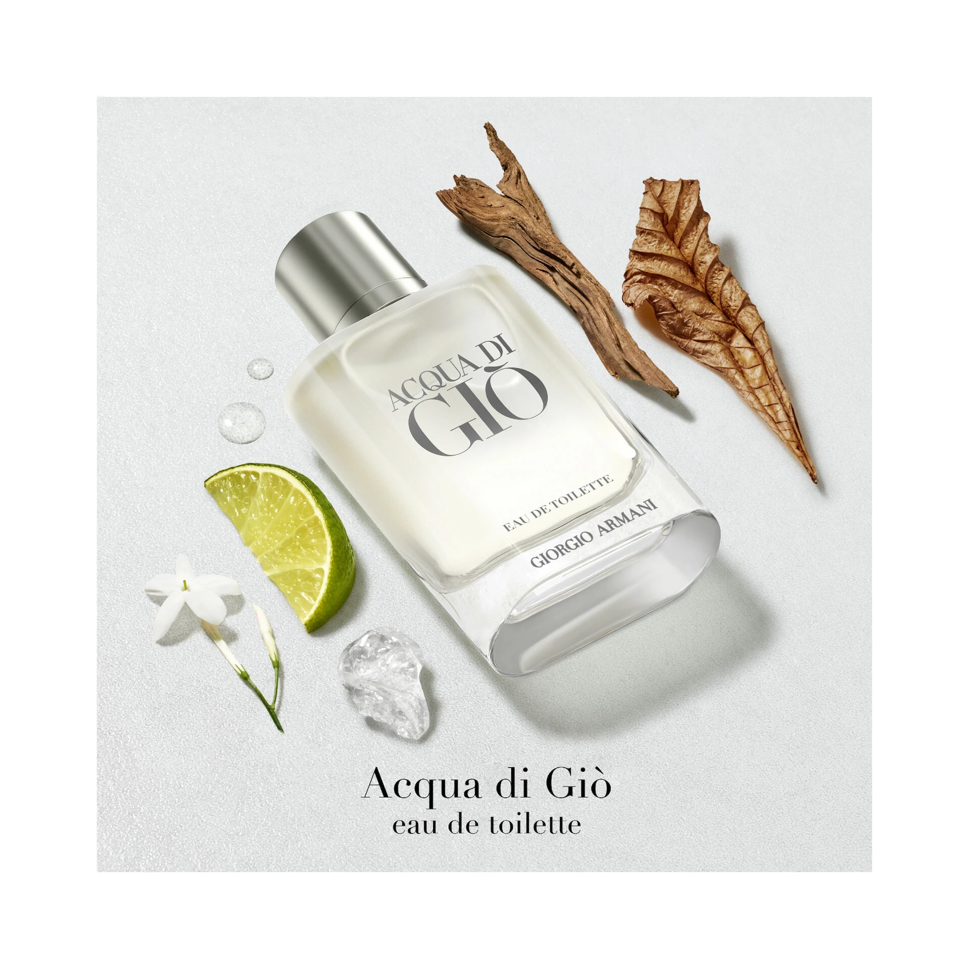 Acqua Di Giò EdT 100 ml - Armani
