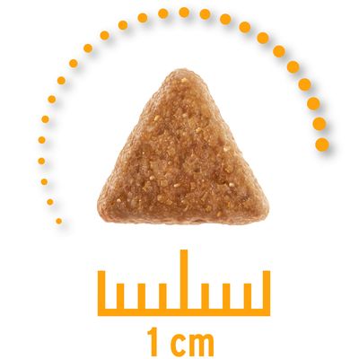 Concept for Life Veterinary Diet Ουροποιητικό