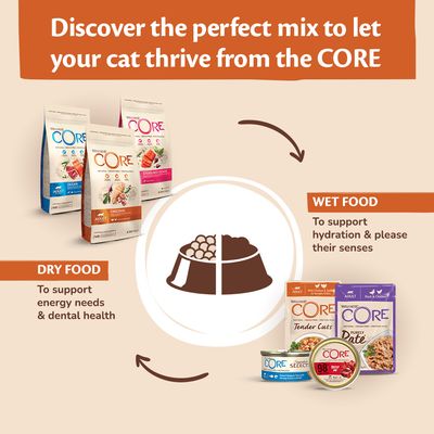 Alimento húmedo para gatos Wellness Core Purely Paté