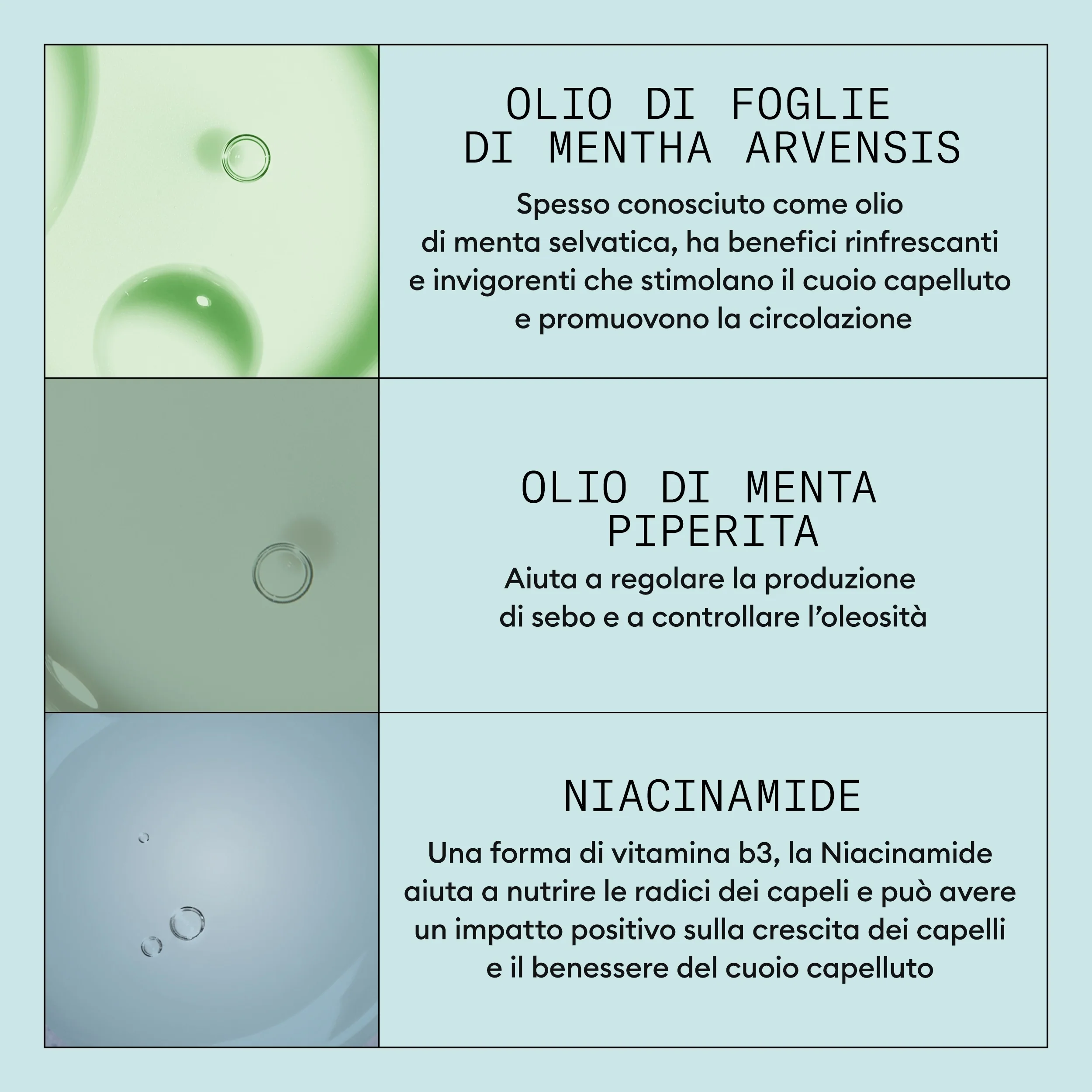 Cura dei Capelli Scalp Recovery Kit Trifasico - Cofanetti per Capelli, Trattamento Antiforfora