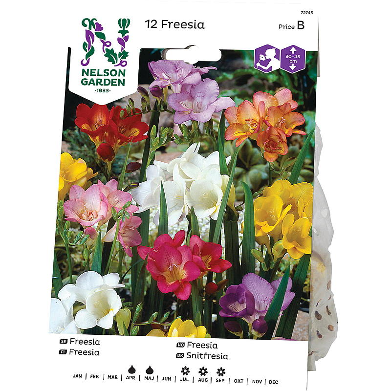 Nelson garden Freesia Yksittäinen, sekoitettu väri