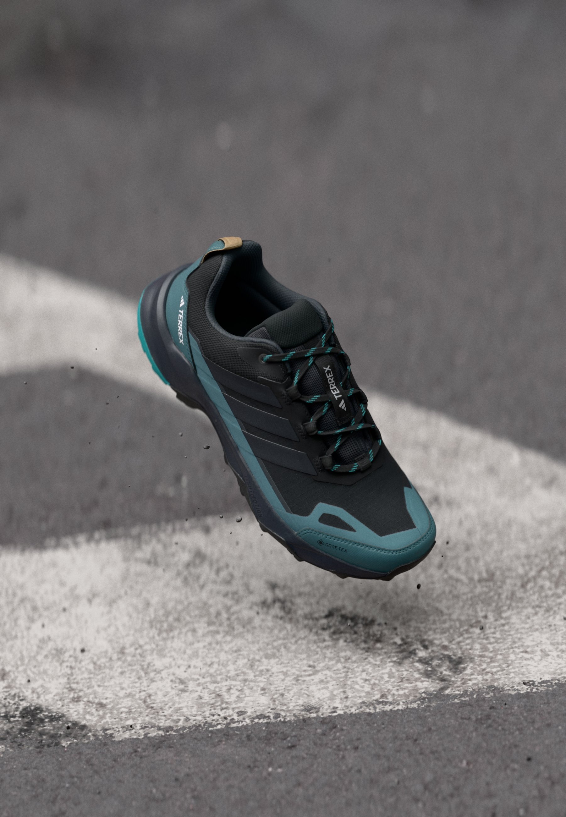 Adidas Terrex SKYCHASER AX5 GTX - Wandelschoenen - core black/carbon/pure teal