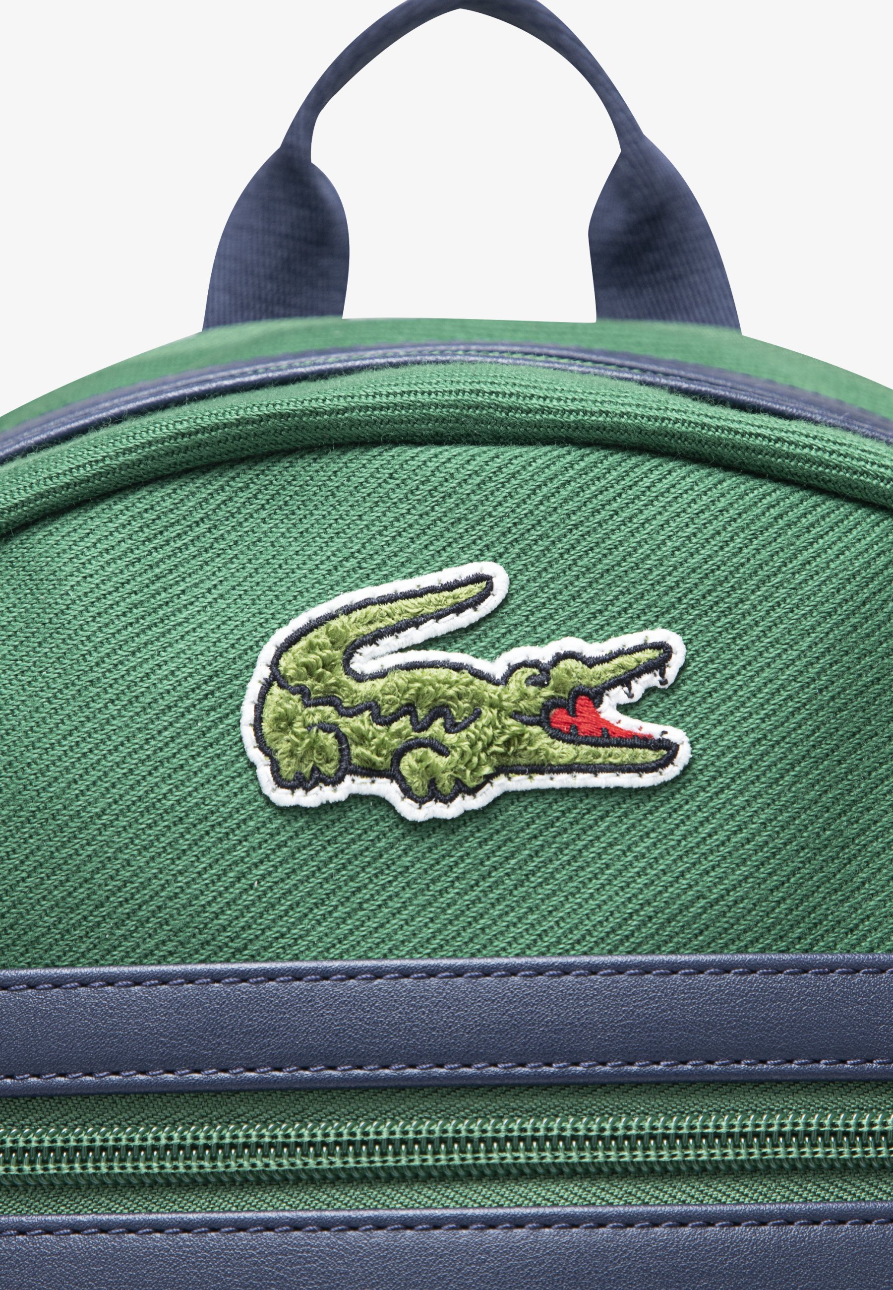 Zaino Lacoste VARSITY UNISEX - Borsa per la scuola - verde