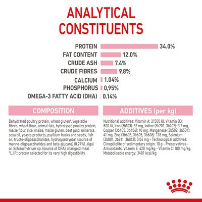 Royal Canin para gatinhos esterilizados