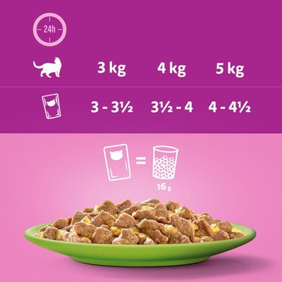 Whiskas 1+ Mix Menu hyytelössä