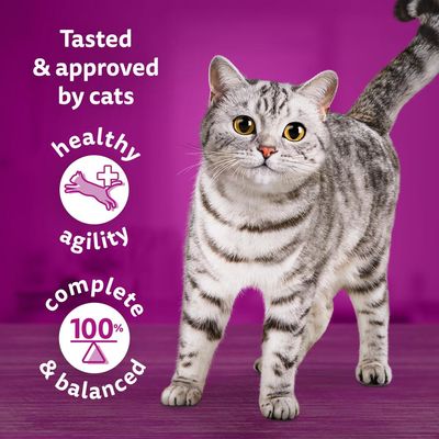 Whiskas 1+ Tasty Mix Kokkens Valg i Sovs