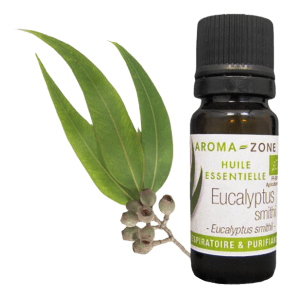Huile essentielle Eucalyptus smithii BIO 10ml