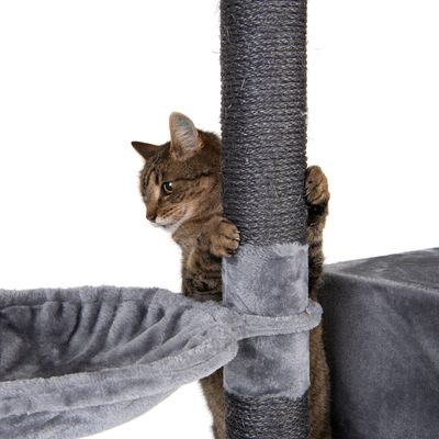 Nox-Kratzbaum