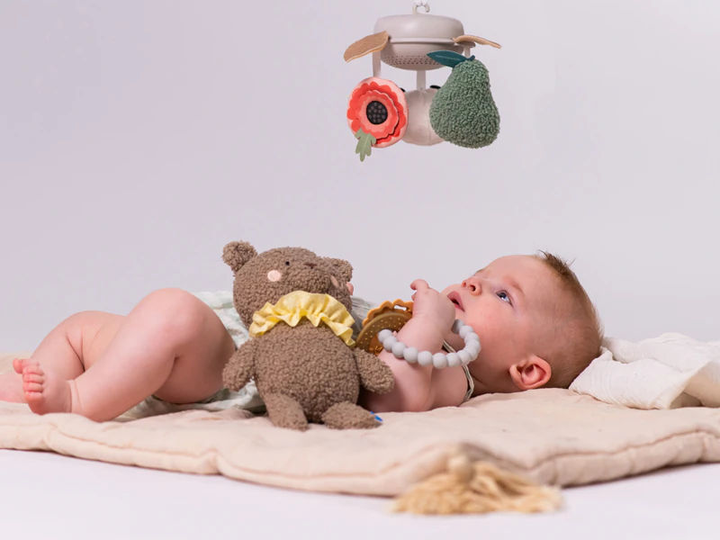 Kit de luxo para recém-nascidos da Taf Toys - Conjunto de presente para bebês