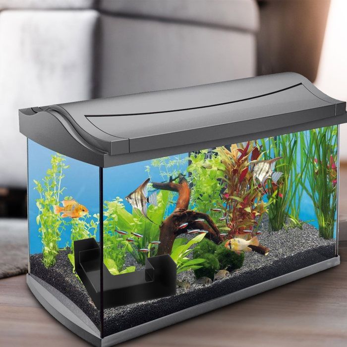 Excrementos de túnel para camarones de acuario OMABETA, cueva para camarones, decoración de esquina para túnel de acuario, decoración pequeña