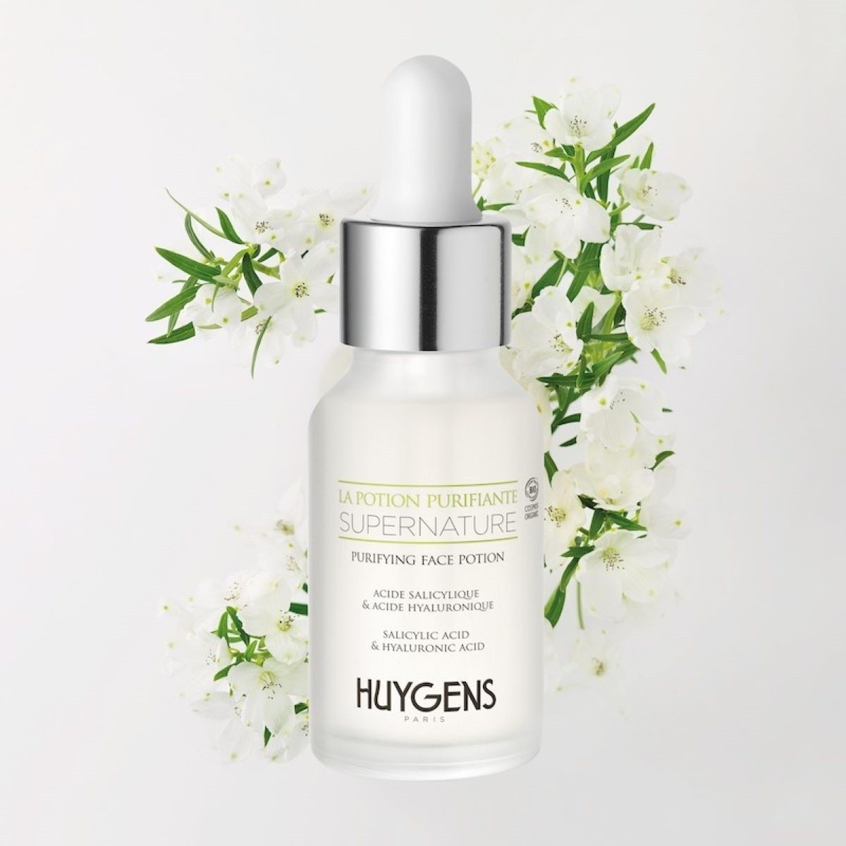 Huygens La Potion Purifiante