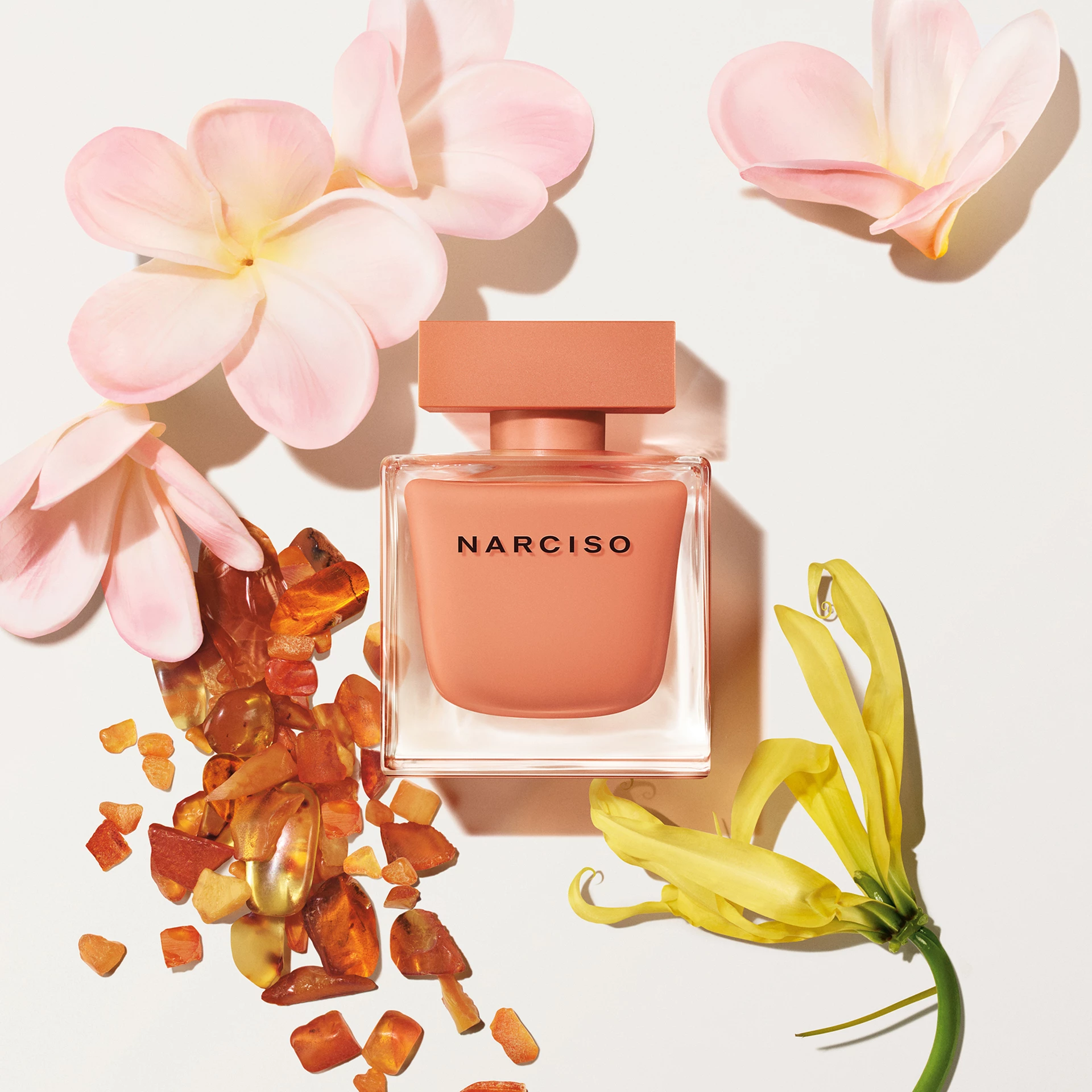 Narciso EdP Ambrée 30 ml - Narciso Rodriguez