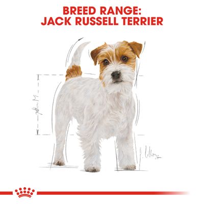 Royal Canin Jack Russell Terrier Erwachsener