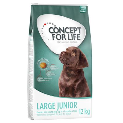 Concept for Life Stor Junior