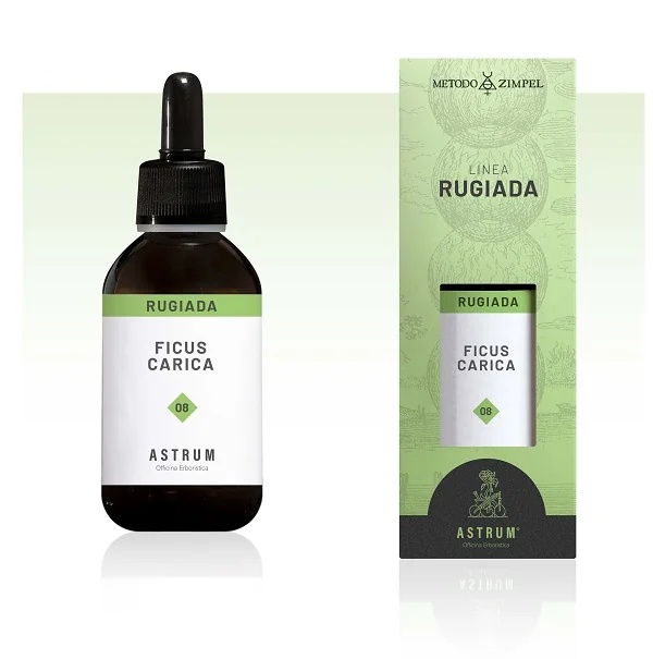 ASTRUM Astrum Ficus Carica Rosée
