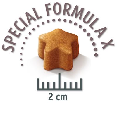 Concept for Life Schæferhund Voksen