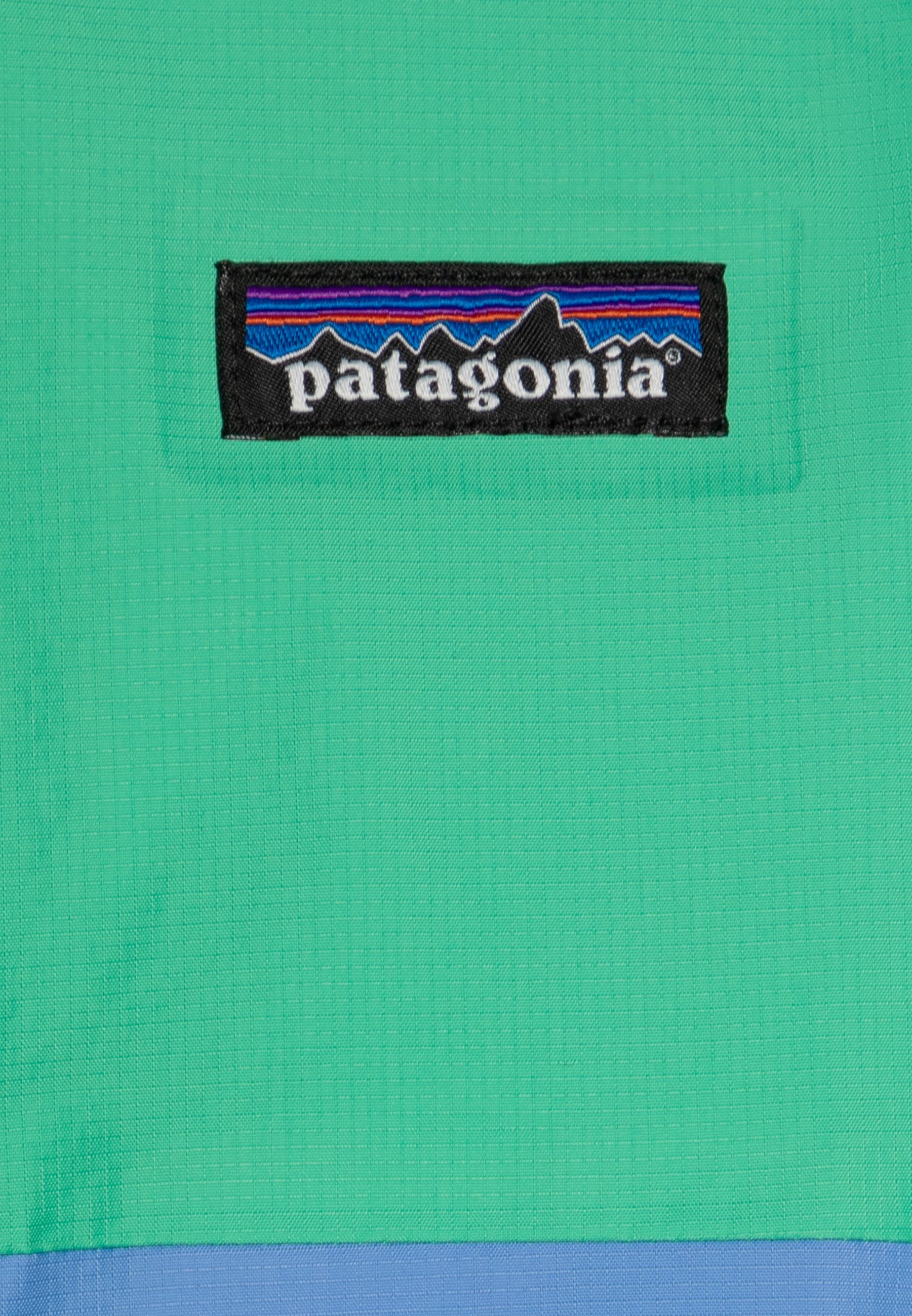 Patagonia RAIN UNISEX - kõvakoorjakk - aaloeroheline