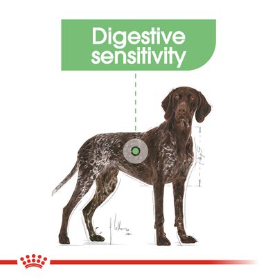 Royal Canin Maxi Cuidados Digestivos