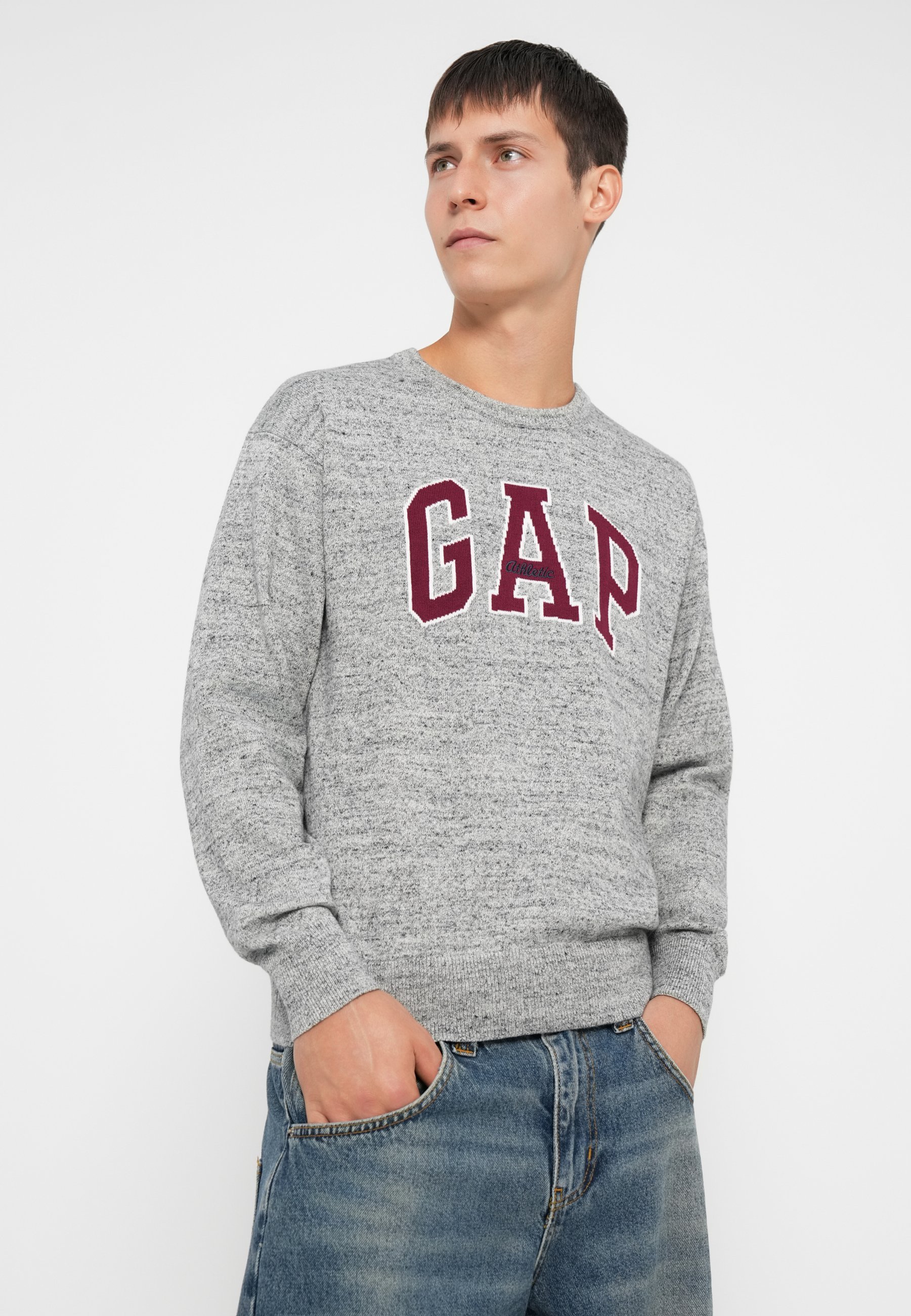 GAP ATHLETIC INTARSIA CREW - Neule - grey heather