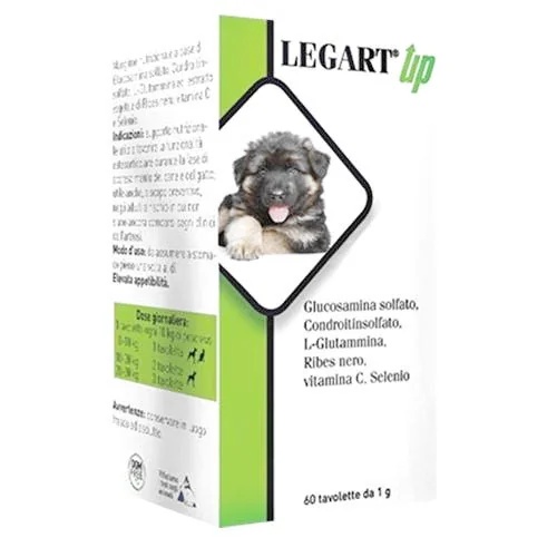 AURORA Legart Up 120 comprimidos