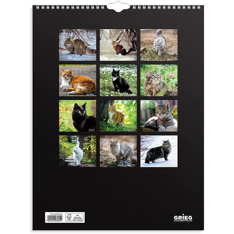 Väggkalender katter 2025