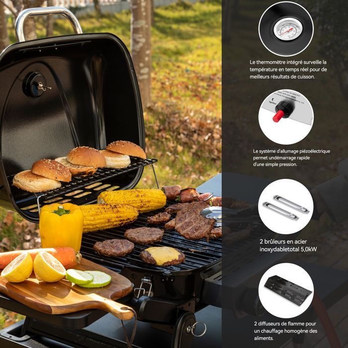 Barbecue Gaz Portable - Royal Gourmet - 2 Brûleurs Puissance 5 kW, Surface Cuisson 48 x 37 cm - avec Tables Latérales