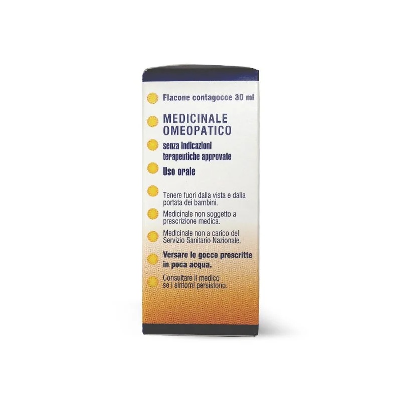 BOIRON Schachtelhalm Arv 125ml