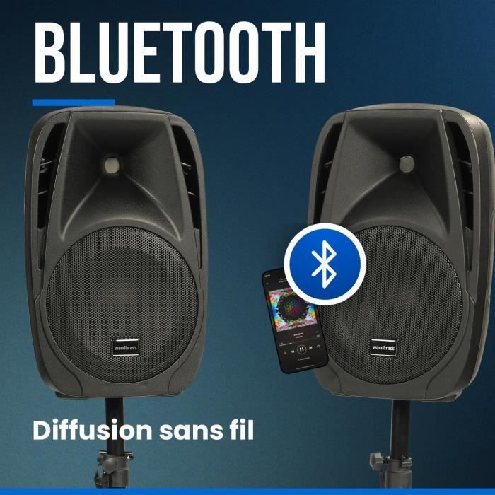 Sound Kit - WOODBRASS - Stage Power 210 - 150W - Bluetooth - Portable and High Performance