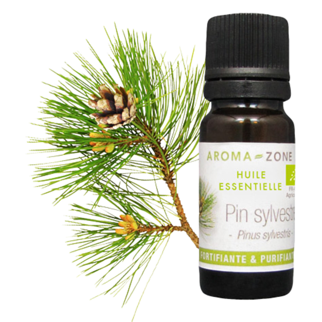 Huile essentielle Pin sylvestre BIO 10ml