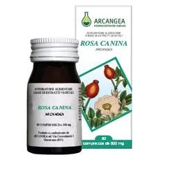 ARCANGEA Rosa Canina 60 kapslit