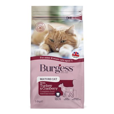Burgess, ausgewachsene Katze mit Truthahn und Preiselbeeren