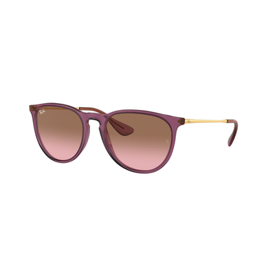 Ray-Ban Ray-Ban Erika Classic 4171 aurinkolasit 1 kpl 1 kpl