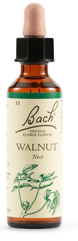 SCHWABE Schwabe Bachblüten 33 Walnusstropfen 20 ml