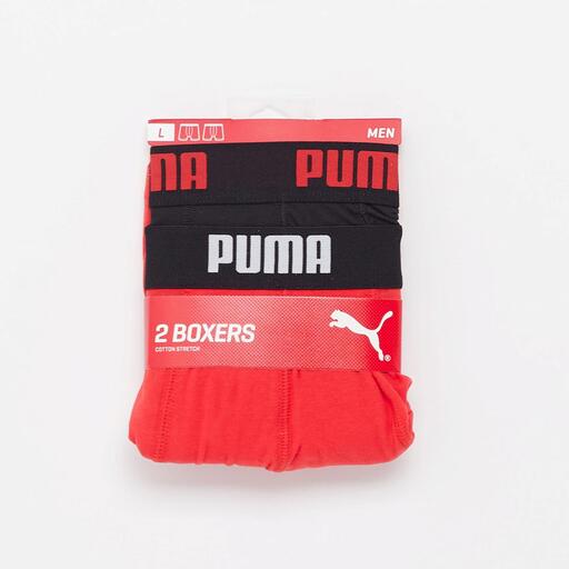 Boxer Puma
