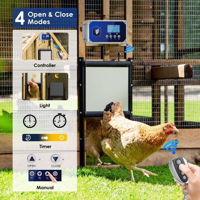 Porta automatica per pollaio, automatica e impermeabile, automatica con 4 modalità di controllo, durata della batteria di 6 mesi e 3 opzioni di alimentazione