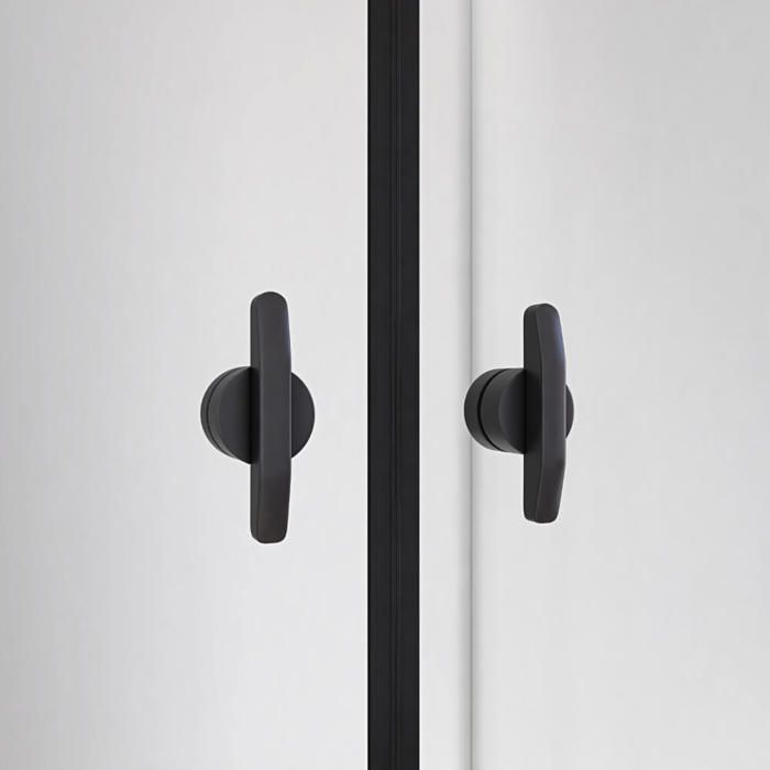 Porte battante en verre clair HOME DELUXE LAVEA - 80 x 195 cm - Noir