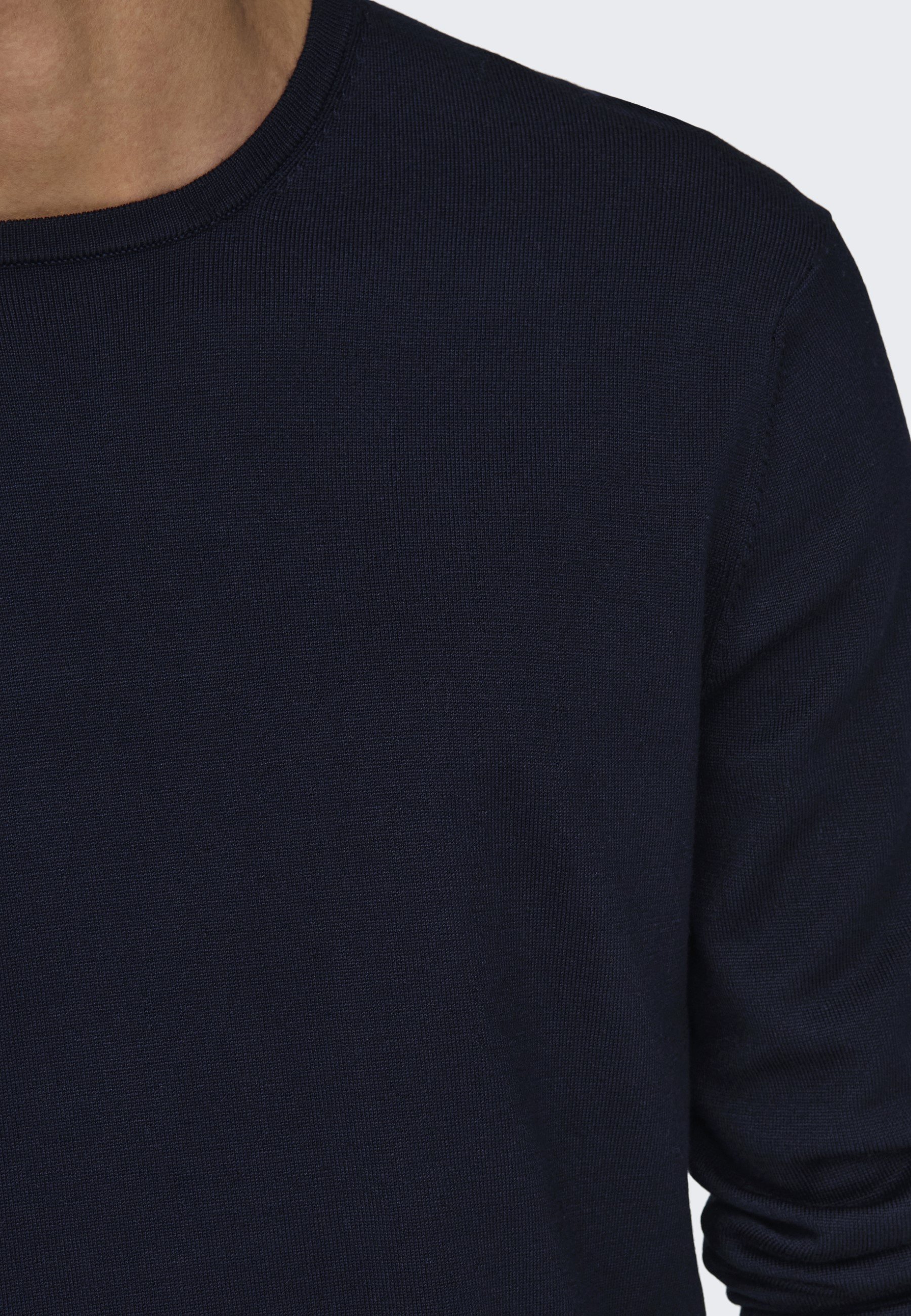 Only & Sons ONSWYLER LIFE CREW - Trui - zwart