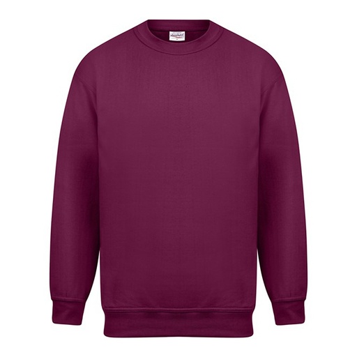 Sudadera Absolute Apparel Magnum