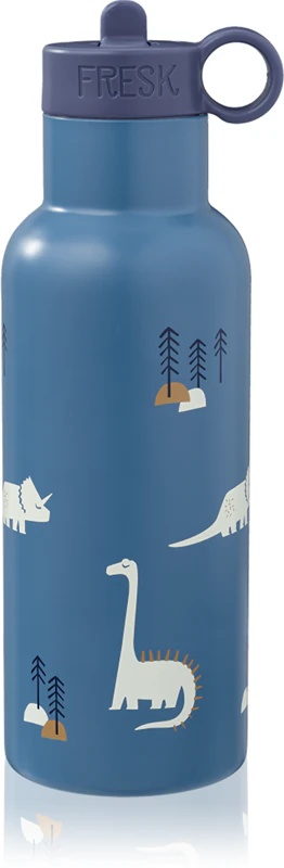 Termo steklenica FRESK Nordic