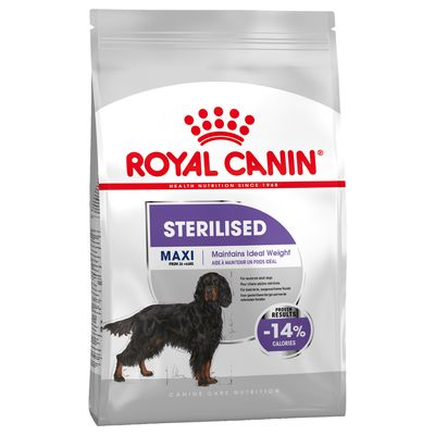 Royal Canin Maxi sterilizzato