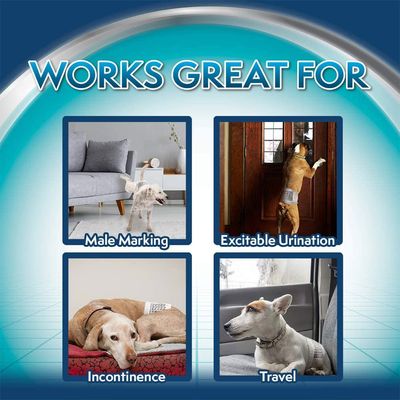Couches jetables Simple Solution pour chiens mâles