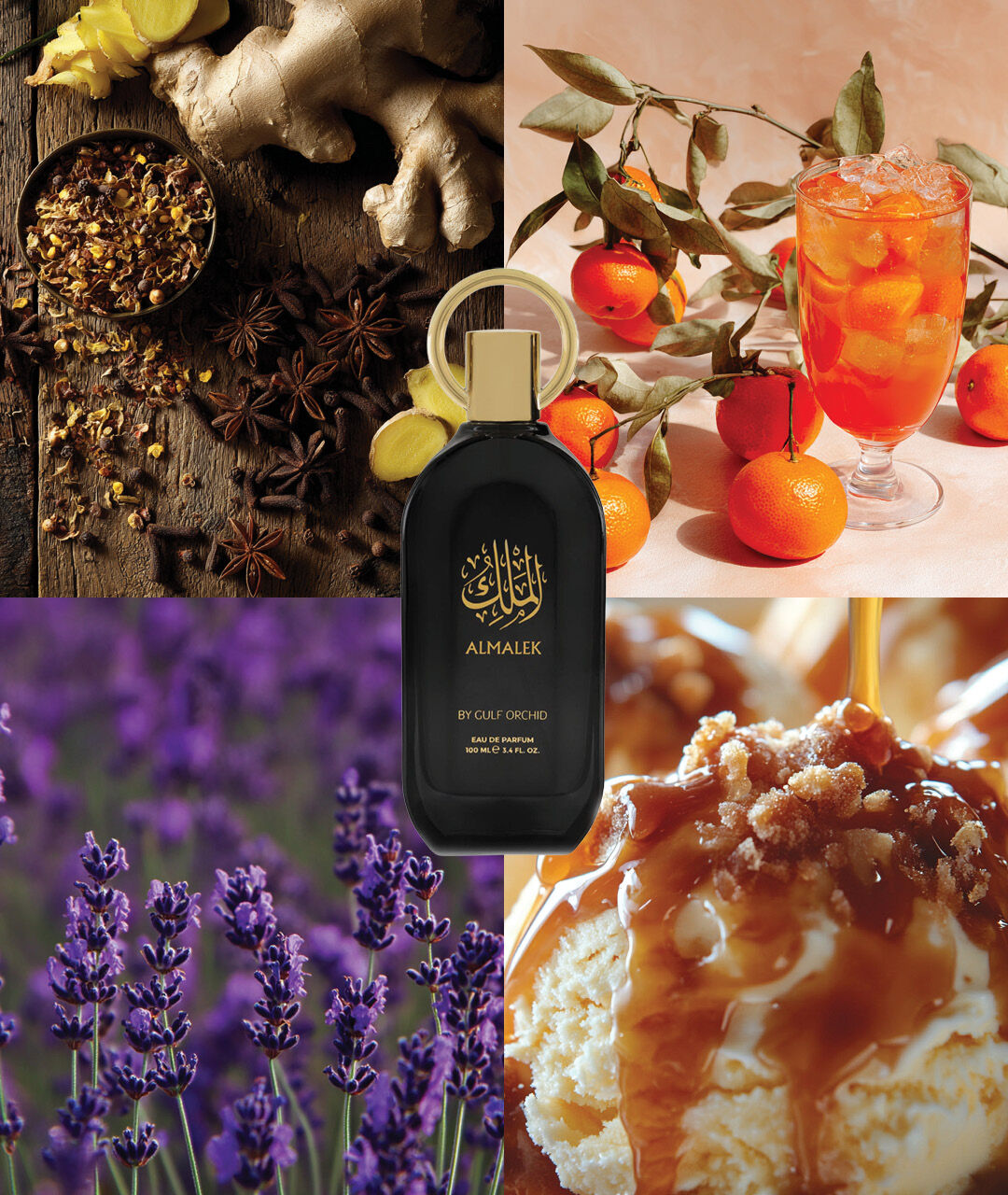 Gulf Orchid Al Malek