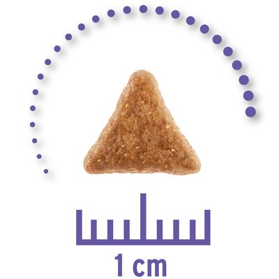 Concetto per la vita Dieta veterinaria renale