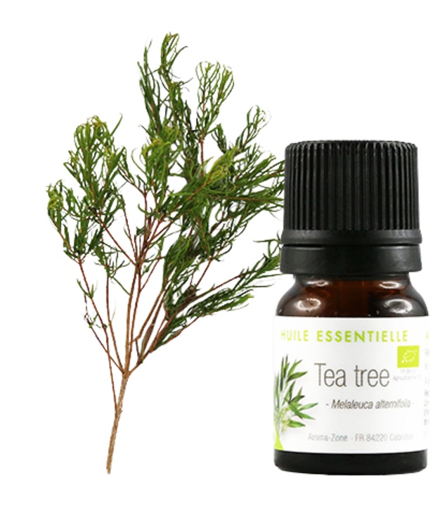 Tea tree etherische olie (biologische tea tree) 2 ml