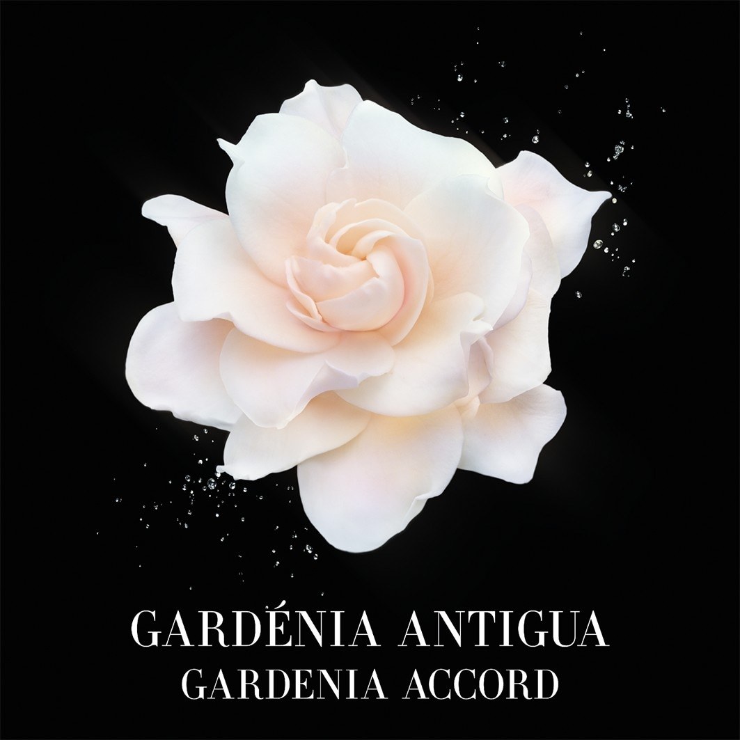 Armani Privé Gardenia Antigua Eau de Toilette - 100 ml